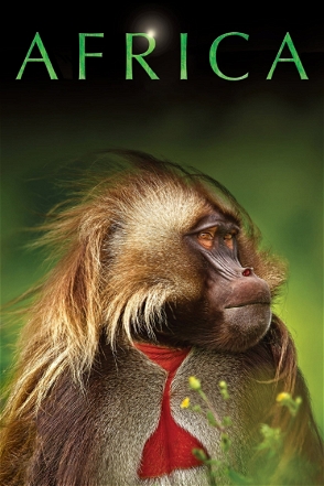 Africa_0001